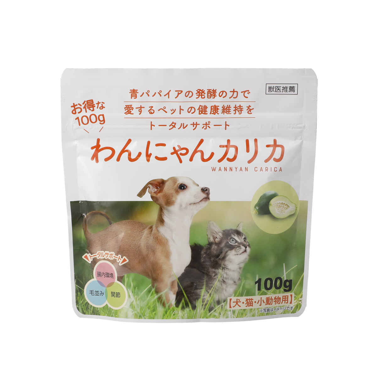 【定期便】わんにゃんカリカ 100g