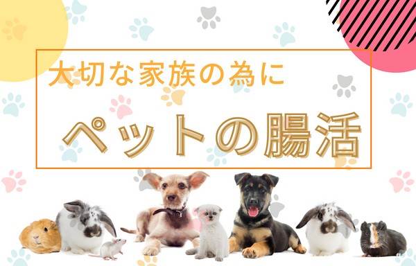 大切な家族の健康に🐾ペットの腸活