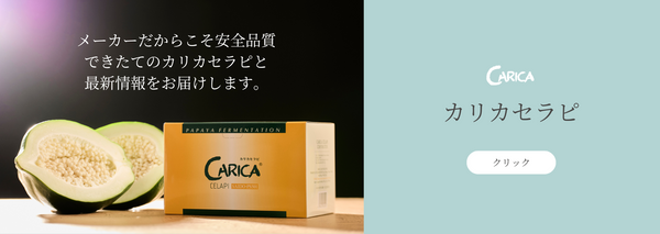 カリカセラピ公式通販 | 野生の未熟果パパイアを使った発酵食品 カリカセラピ公式通販 | 野生の未熟果パパイアを使った発酵食品