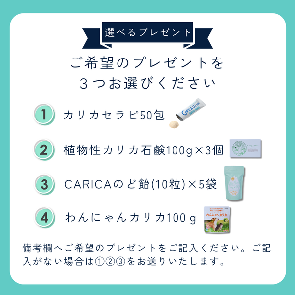カリカセラピ – カリカセラピ株式会社