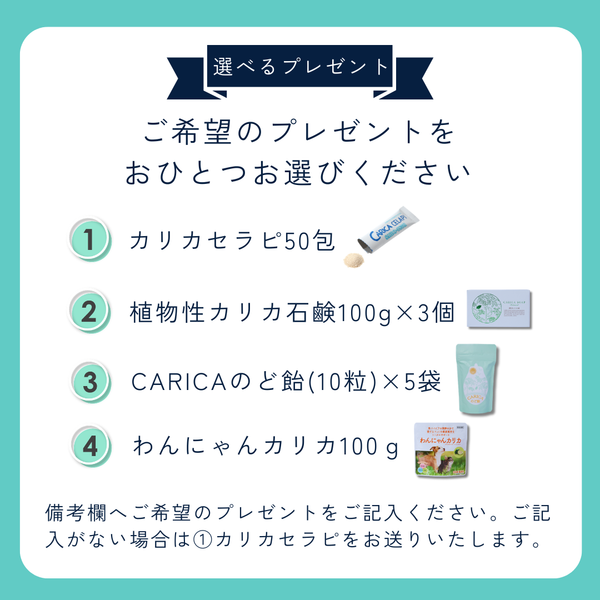 カリカセラピ – カリカセラピ株式会社