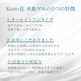 パパイアセット
