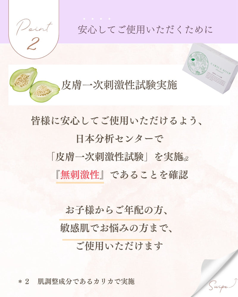 パパイアセット