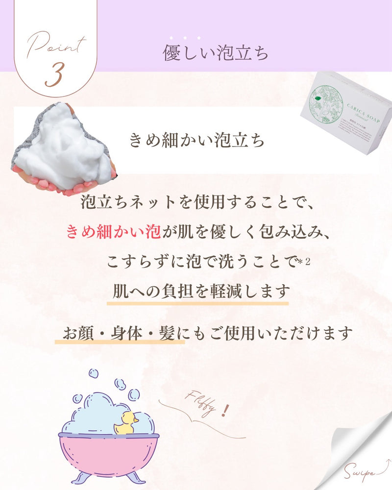 パパイアセット