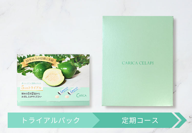 カリカセラピ定期便