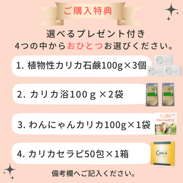 カリカセラピ – カリカセラピ株式会社 カリカセラピ – カリカセラピ株式会社