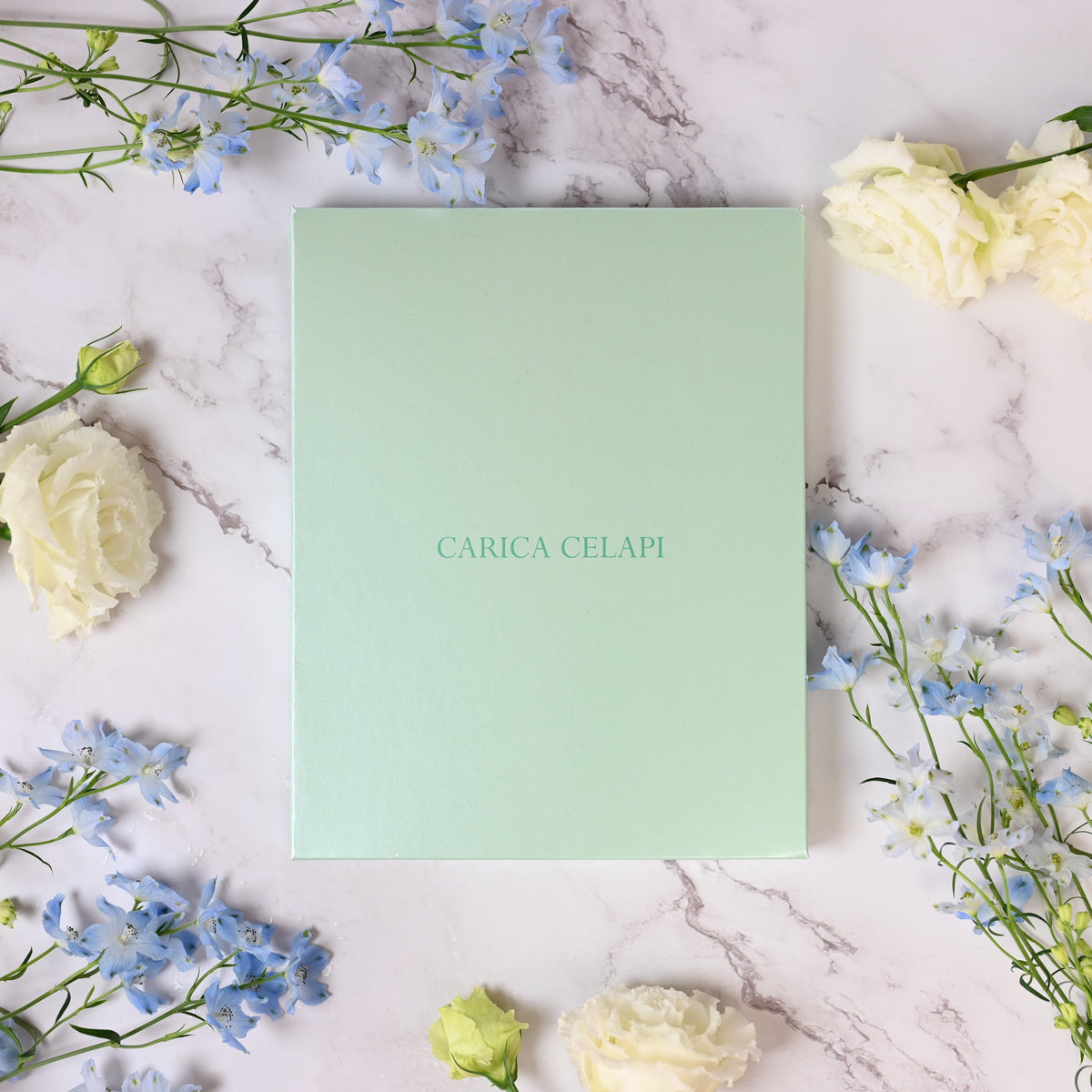 CARICA CELAPI - 【新品未開封】カリカセラピ(3g*100包) Amazon.co.jp: カリカセラピSAIDO-PS501 3g×100包+10包進呈